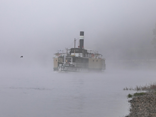 PD Pillnitz im Nebel